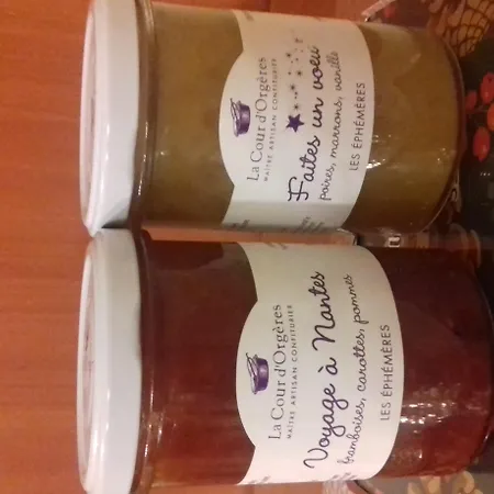 Szálloda Billie - Reopening Summer 2024 Nantes